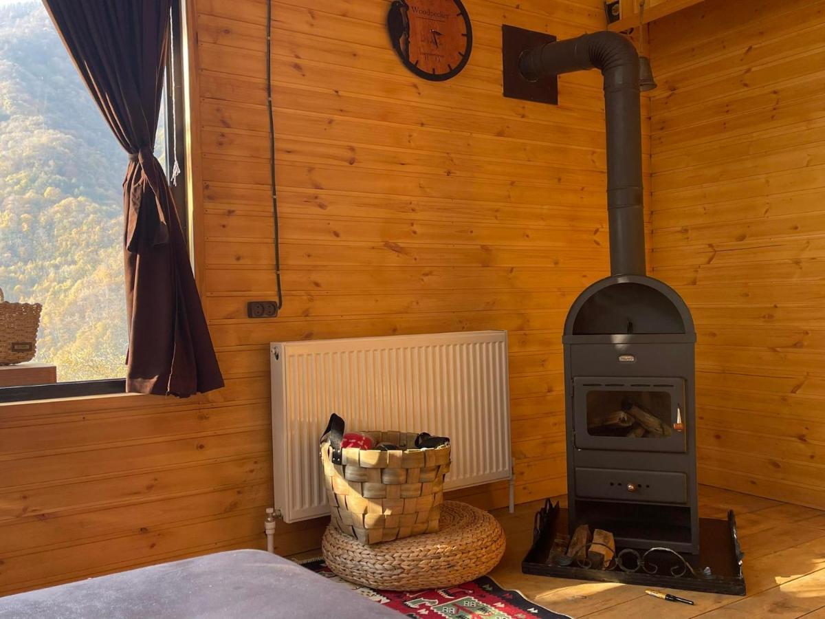 Hotel Woodpecker Georgia 5*